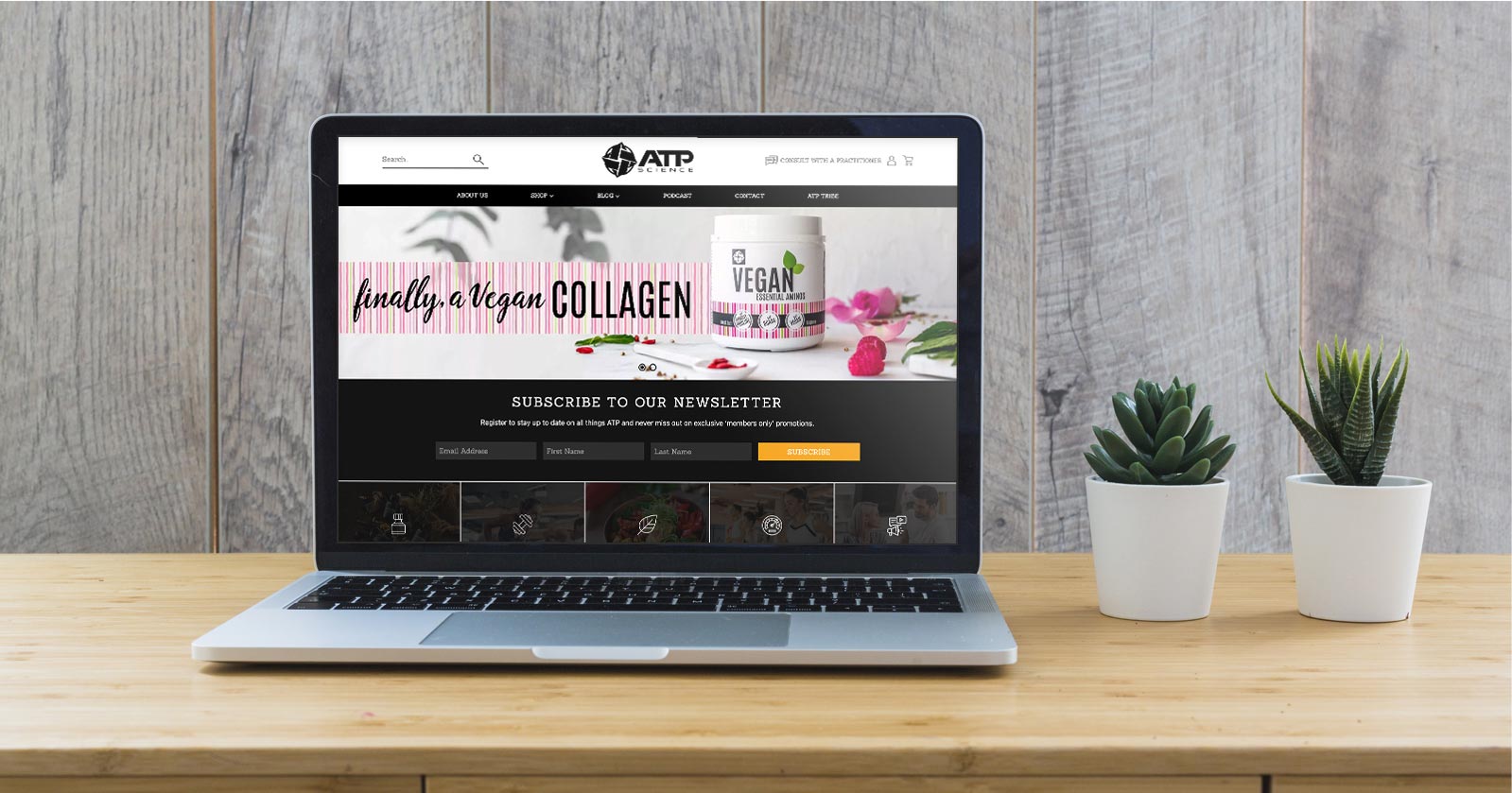 website preview